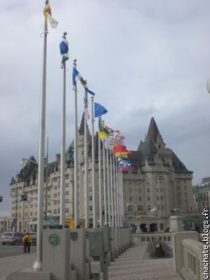 une photo d'art: tous les drapeaux des territoires canadiens